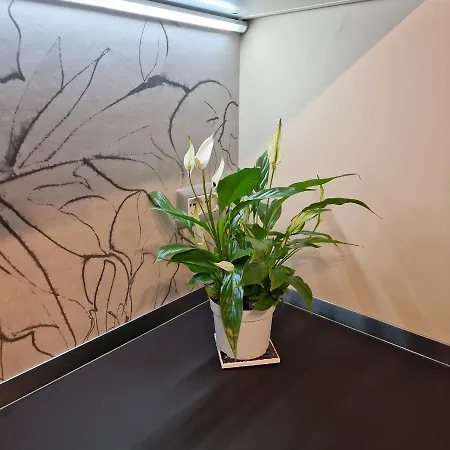 Apartment Corso Vittorio 364