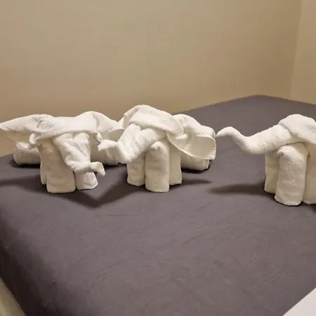 Corso Vittorio 364 Apartment Cagliari